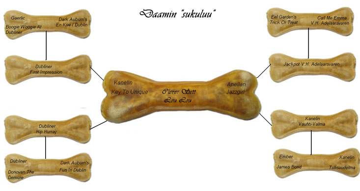 Kuva isompana